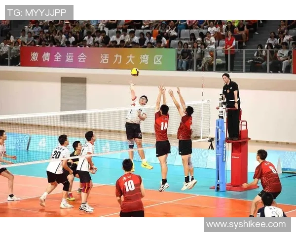 上海排球队团队协作的创新与变革引发热议 上海排球队团队协作的创新与变革引发热议