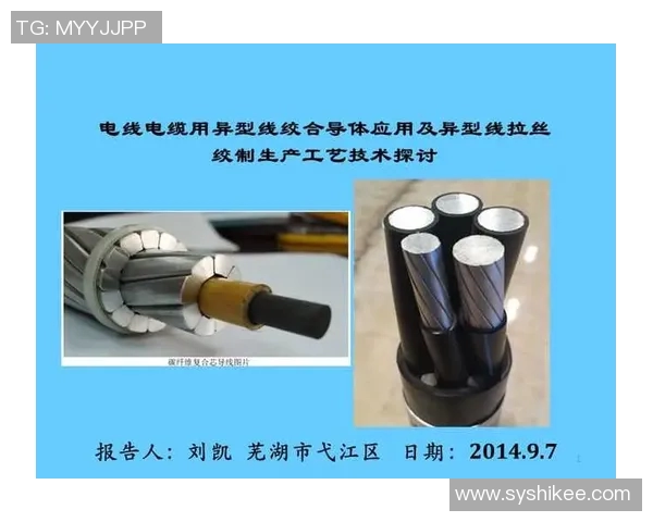 广州羽毛球队的节奏体系与战术运用探讨及其在比赛中的实际应用分析 广州羽毛球队的节奏体系与战术运用探讨及其在比赛中的实际应用分析