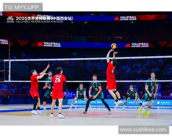 西安排球队引领排球意识新潮流前十名解析
