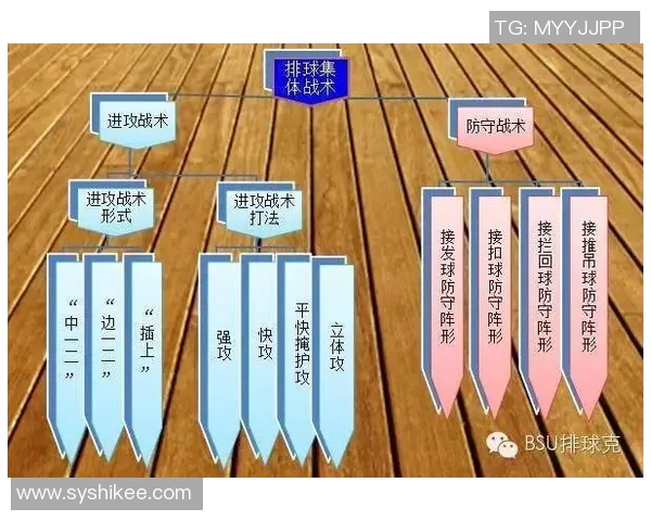 广州排球队在冠军赛中的速度表现分析与战术探讨