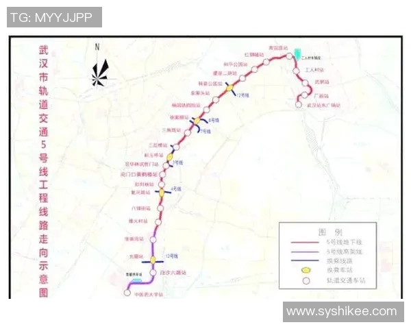 武汉羽毛球队实力对比深度解析及未来发展趋势探讨 武汉羽毛球队实力对比深度解析及未来发展趋势探讨