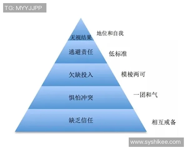 西安排球队精英赛表现分析团队协作的重要性与策略探讨 西安排球队精英赛表现分析团队协作的重要性与策略探讨